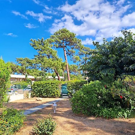 Mini Villa Jardin 50 M Plage Borgo  Kültér fotó