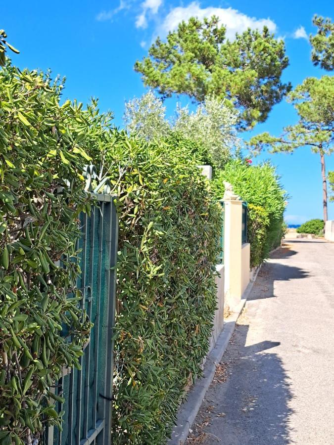Mini Villa Jardin 50 M Plage Borgo  Kültér fotó