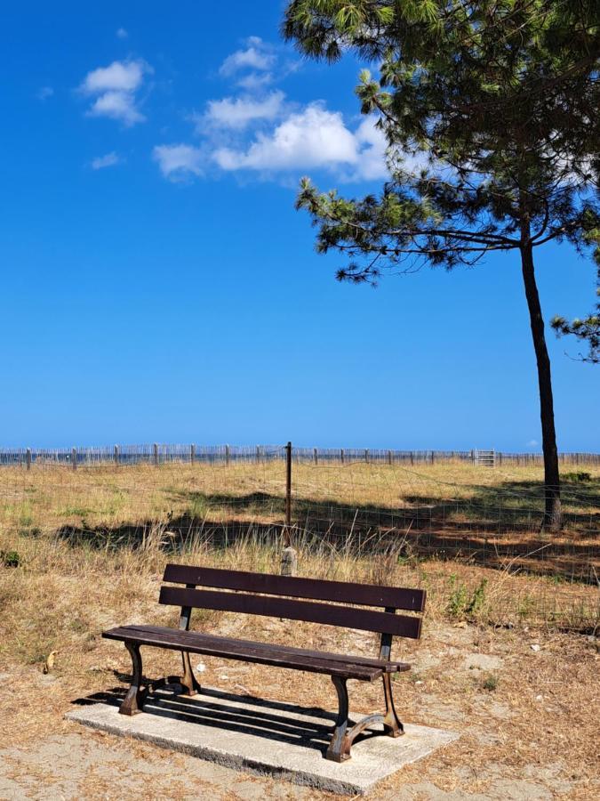 Mini Villa Jardin 50 M Plage Borgo  Kültér fotó