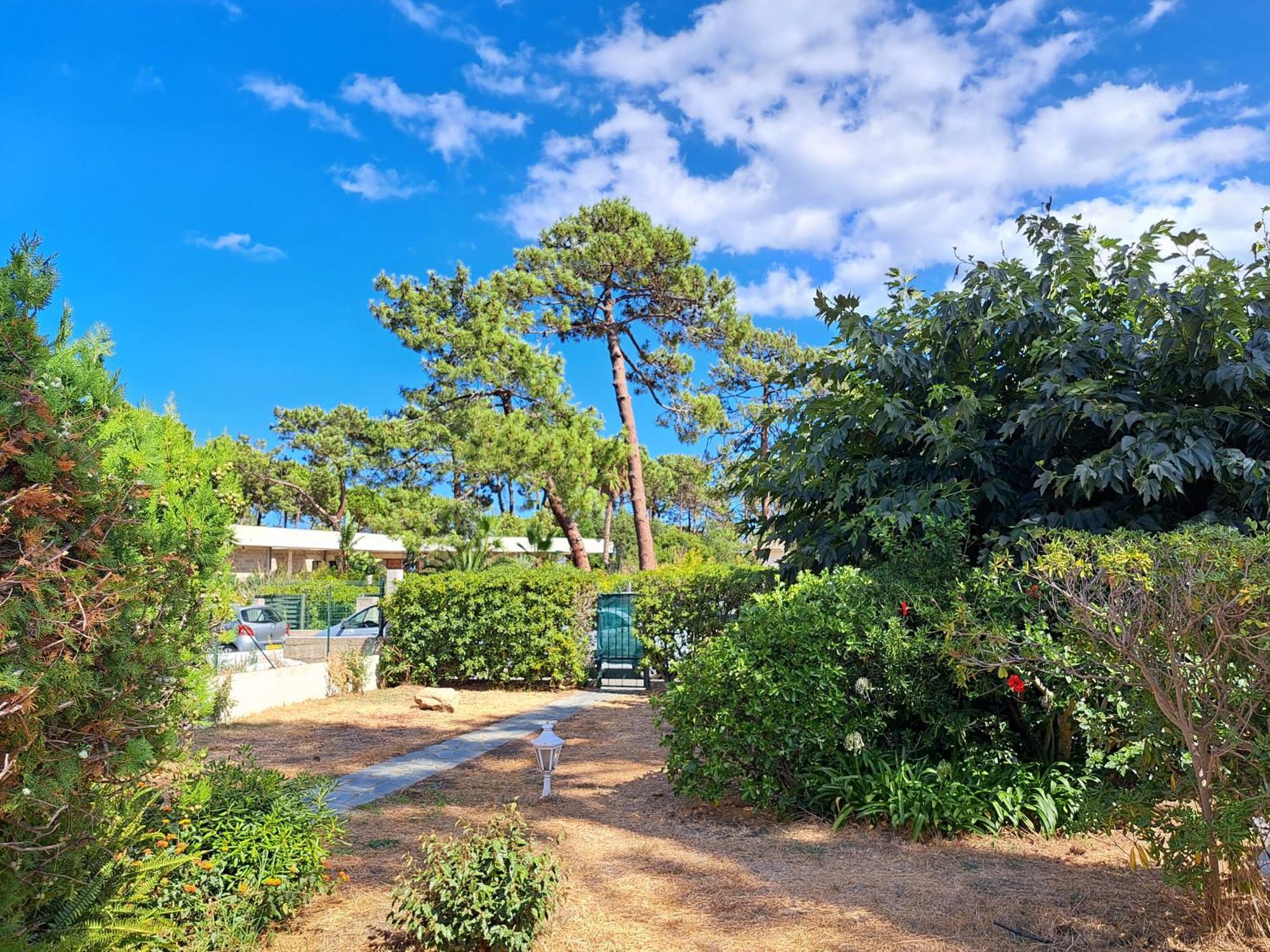 Mini Villa Jardin 50 M Plage Borgo  Kültér fotó