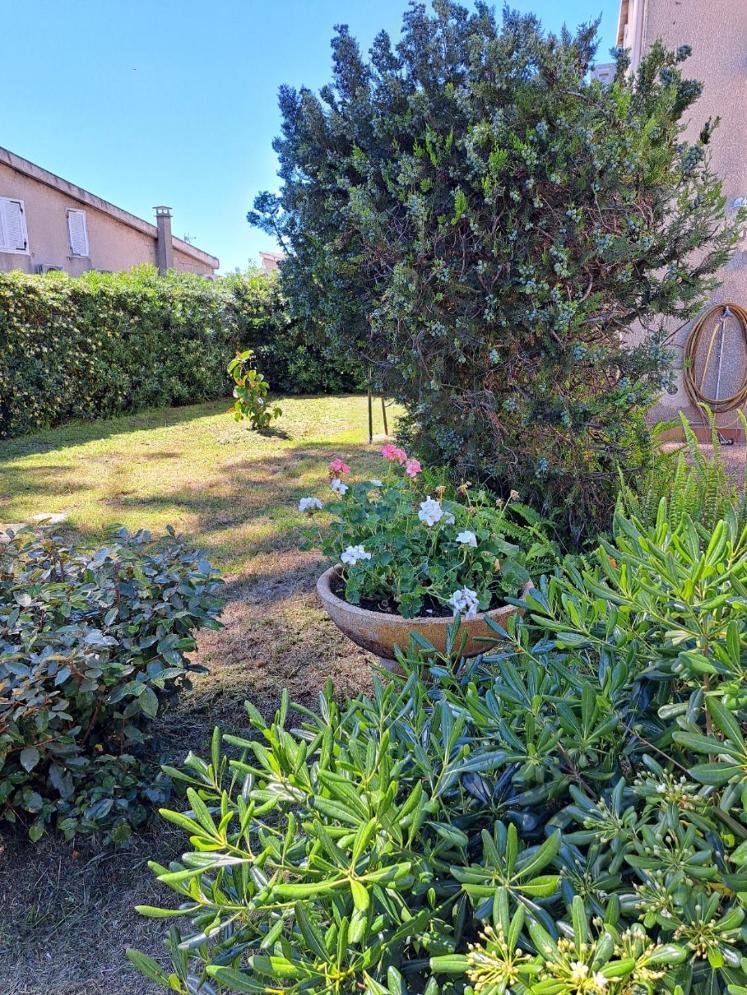 Mini Villa Jardin 50 M Plage Borgo  Kültér fotó