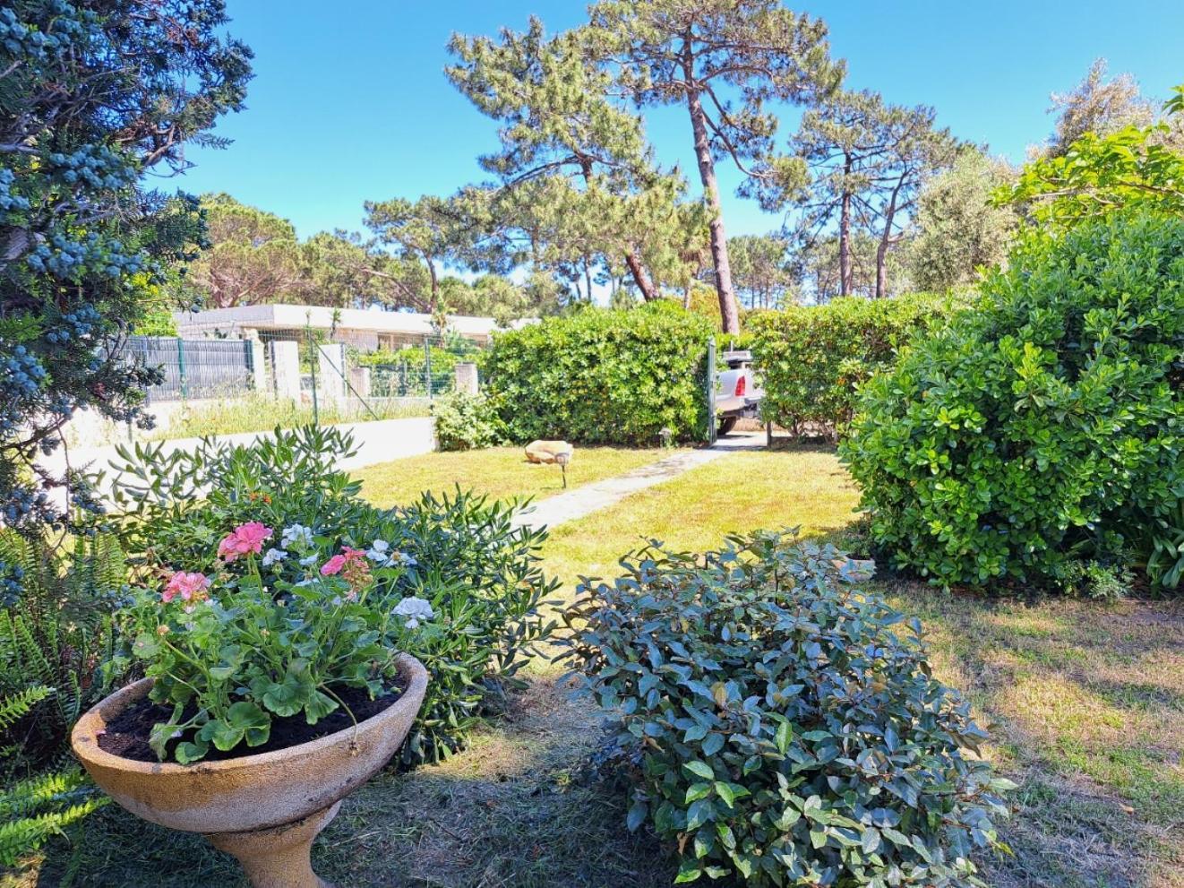 Mini Villa Jardin 50 M Plage Borgo  Kültér fotó